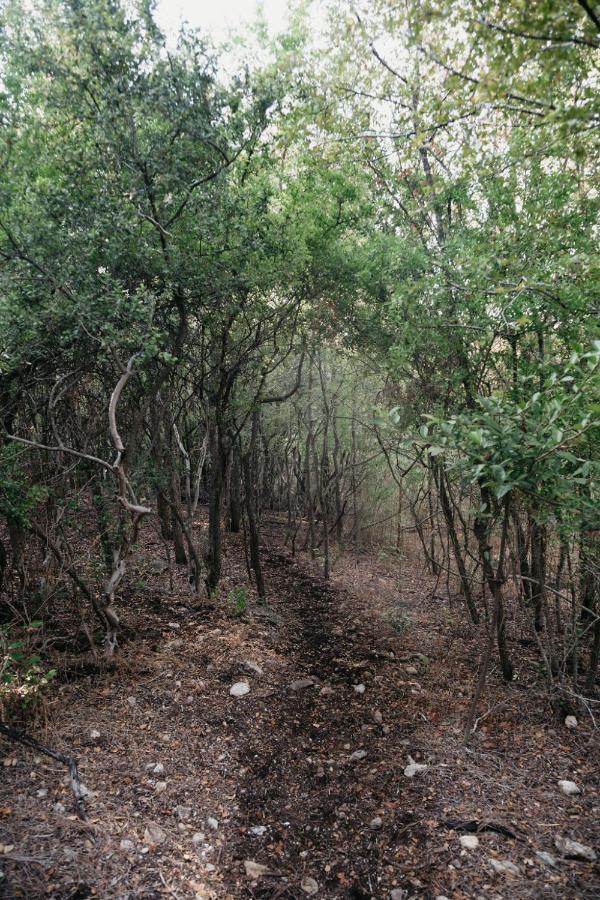 ניו בראונפלס Creed'S Cottage At Four Oaks מראה חיצוני תמונה